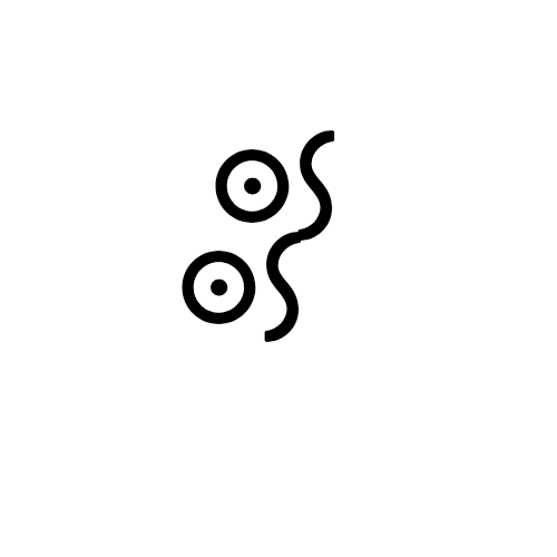 GorullaS